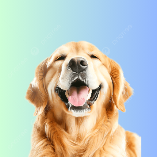 كلاب