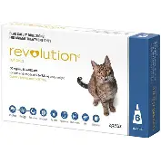 REVOLUTION CATS