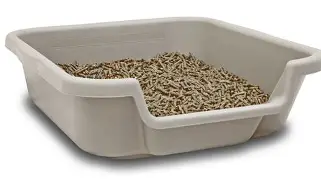 صندوق للرملة بلاستيك